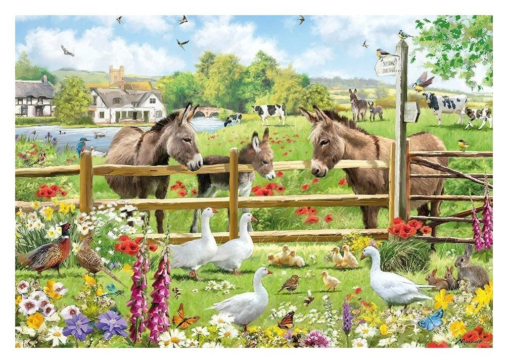 Meadow View - Richard MacNeil