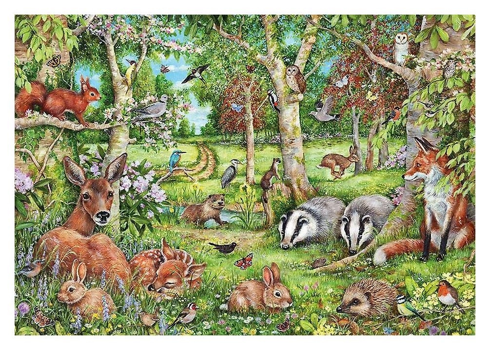 Woodland Adventures - Debbie Cook