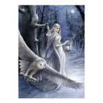 Midnight Messenger - Anne Stokes