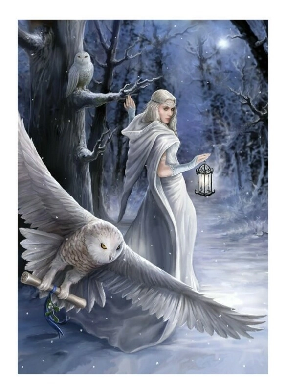 Midnight Messenger - Anne Stokes