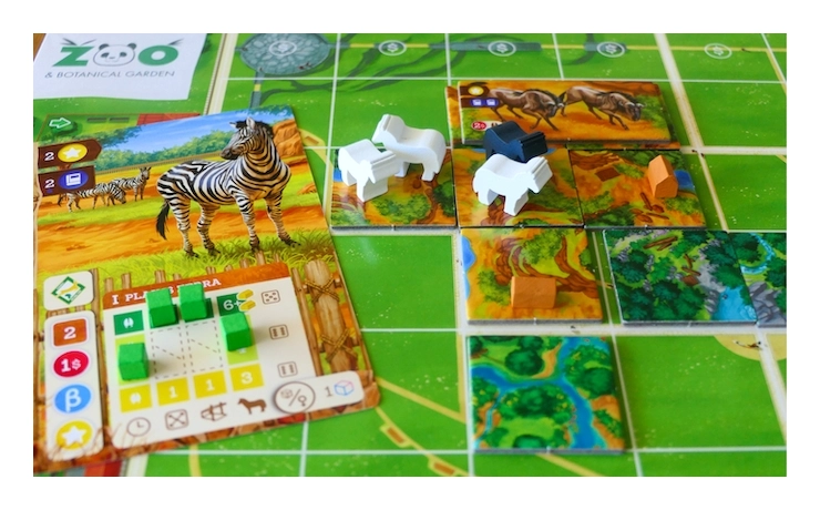 Zoo Tycoon