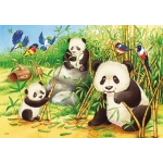 Süsse Koalas und Pandas