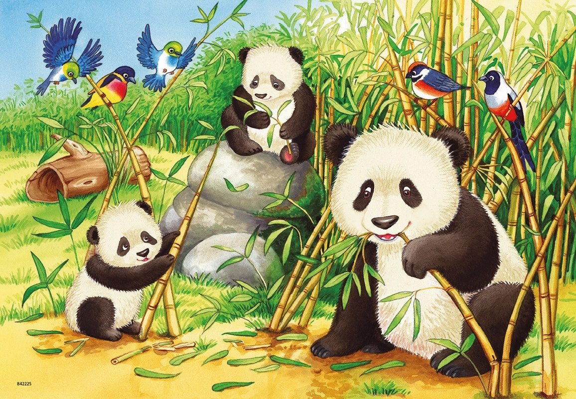 Süsse Koalas und Pandas