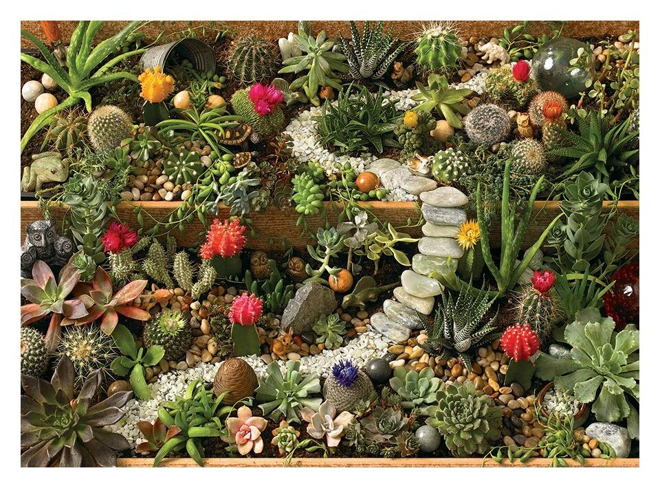 Succulent Garden