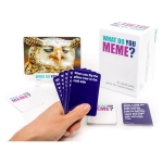 What Do You Meme - EN