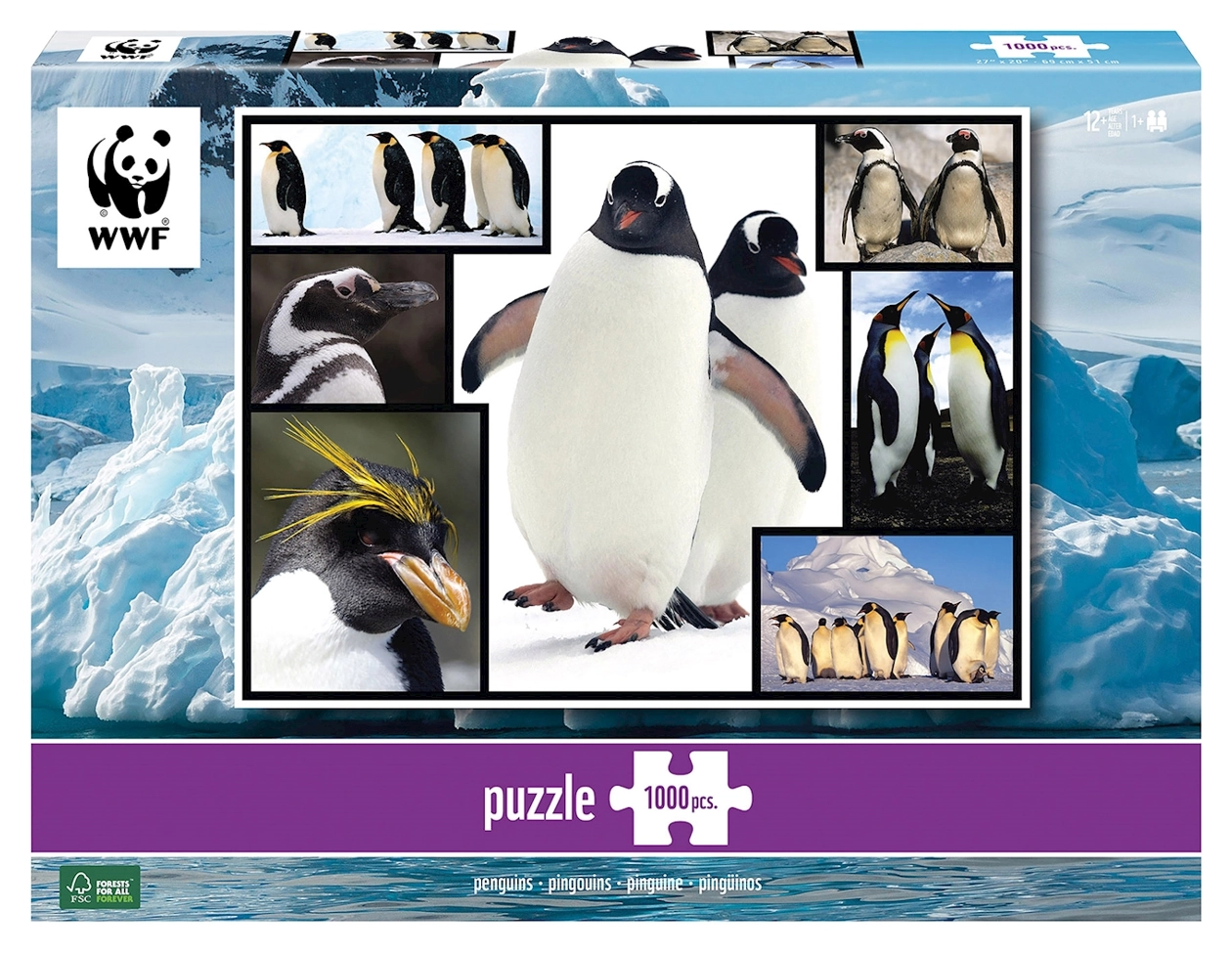 Pinguine - Wilde Geschichten - WWF