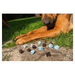 DOGS Dice Set Max