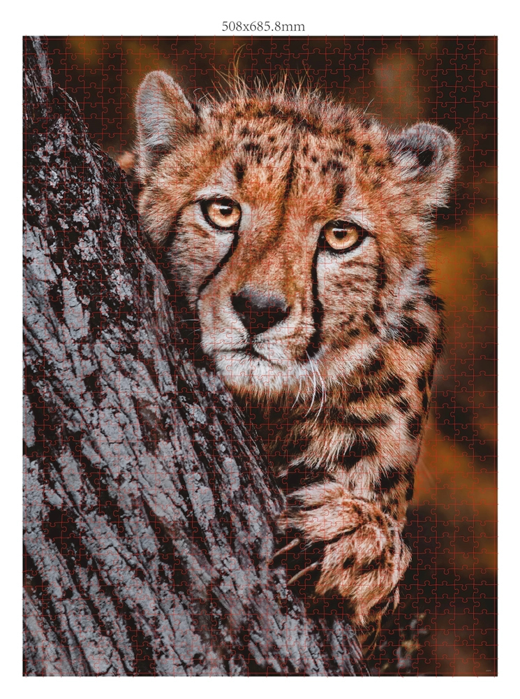 Gepard